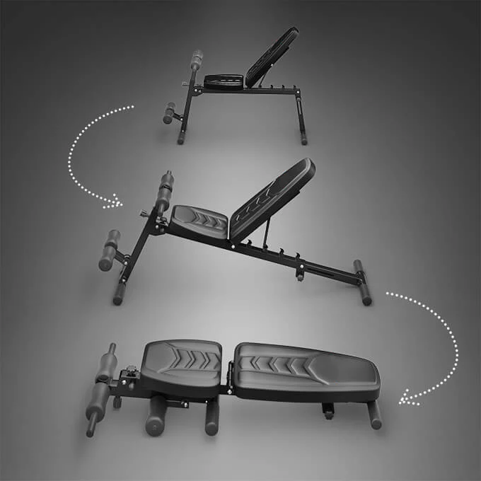 EvoFit : un partenaire d'entraînement performant et ultra-pratique !